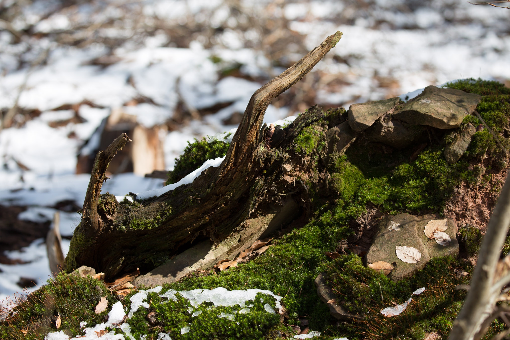 20220409153412 3K6A1940